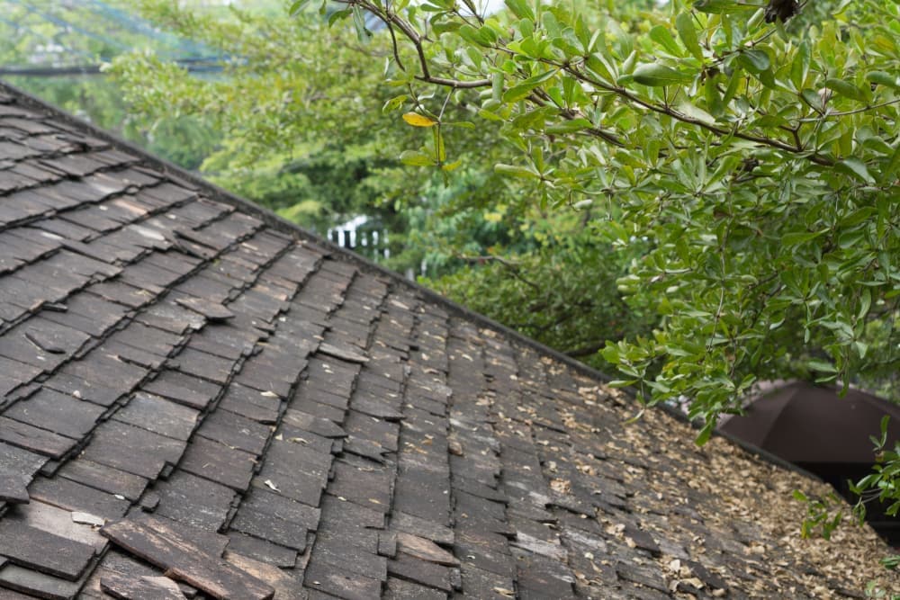 10 Signs You Need a New Roof